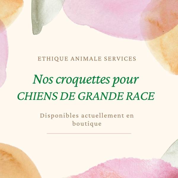 CROQUETTES pour CHIENS de GRANDE RACE disponibles actuellement chez Ethique Animale Services à Fuveau