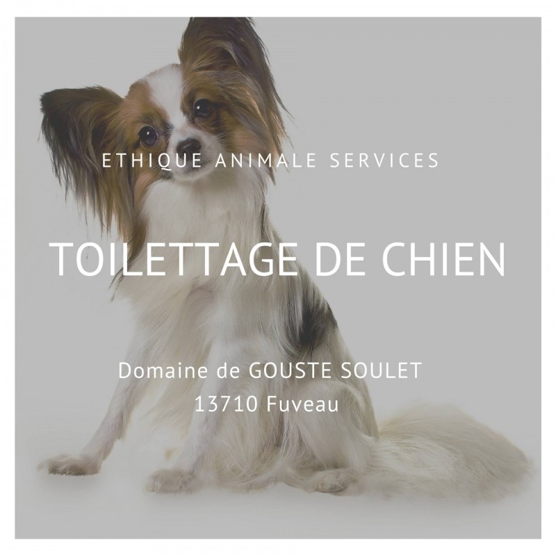 Faire toiletter son chien chez EAS à Fuveau proche de Gardanne et Meyreuil