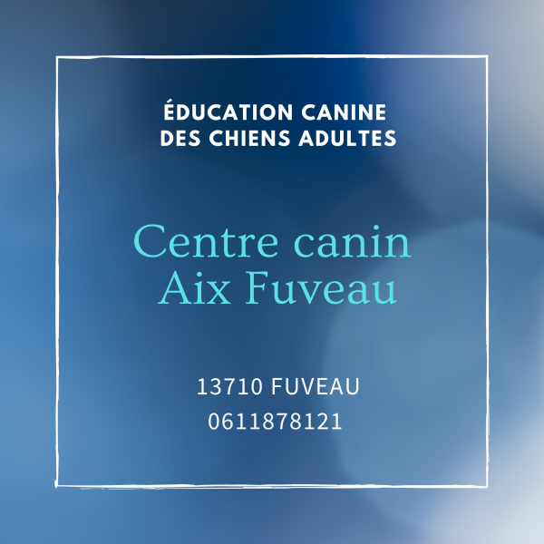 Centre Canin Aix Fuveau pour l'éducation canine de votre chien de plus de 6mois